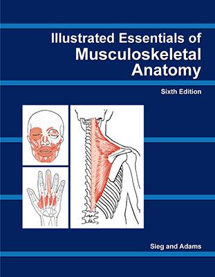 Illustrated Essentials of Musculoskeletal Anatomy 6th Edition